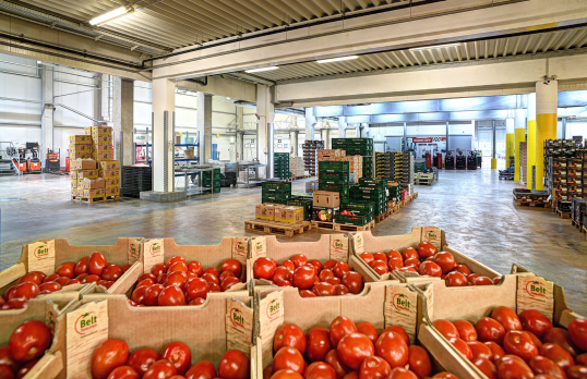 Large warehouse with stacked crates full of fresh tomatoes in the foreground and more fruit and vegetable crates in the background.