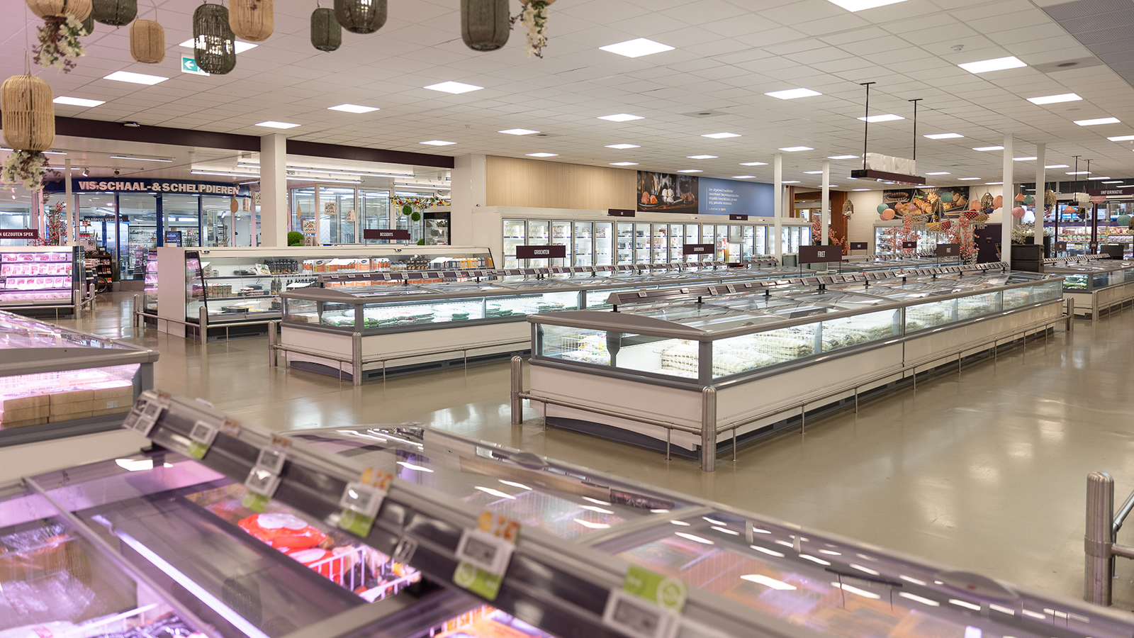 chest freezers and refrigerated shelves in the wholesale market